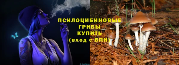 мескалин Абаза