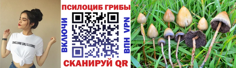 Псилоцибиновые грибы мухоморы  Шарья 